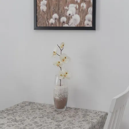 Apartamento Anita